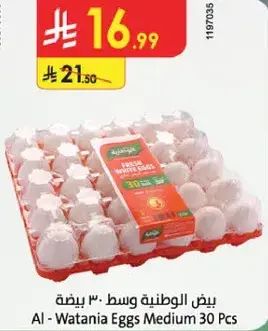 بيض الوطنيه وسط 30 بيضه