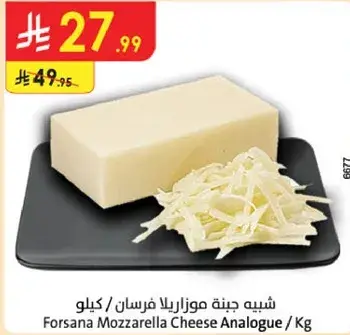 Forsana Mozzarella Cheese Analogue / Kg