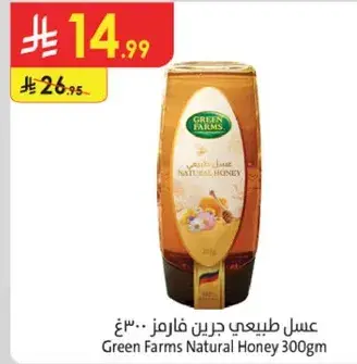 Green Farms Natural Honey 300gm