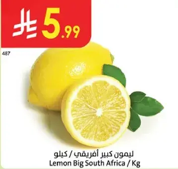 ليمون كبير افريقي / كيلو