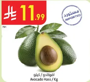 Avocado Hass / Kg