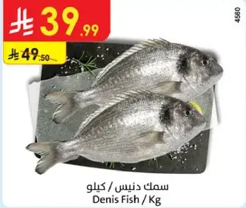 Denis Fish