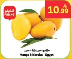 مانجو مبركه - مصر