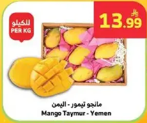 Mango Taymur - Yemen