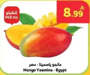 مانجو ياسمينه - مصر
