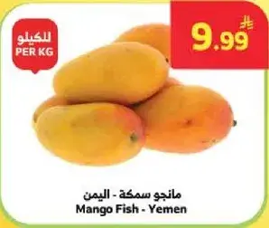 مانجو سمكه - اليمن