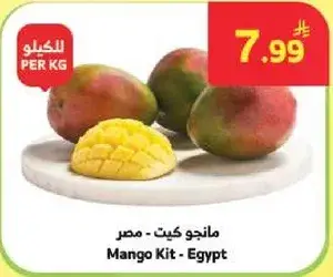 Mango Kit - Egypt