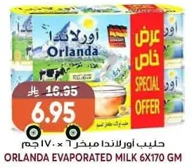 حليب اورلندا مبخر 6 × 170 جم