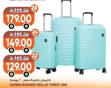 Caymen business trolley Turkey 20in