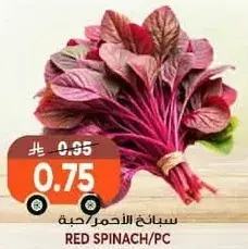 Red Spinach (PC)