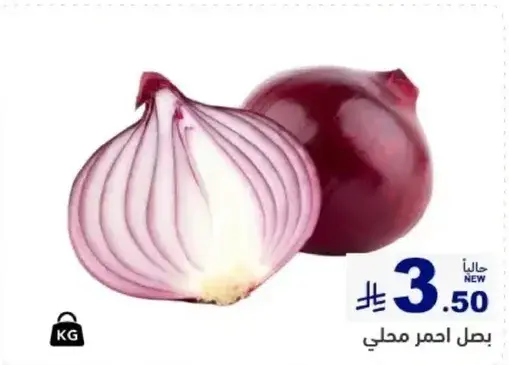 بصل احمر محلي.