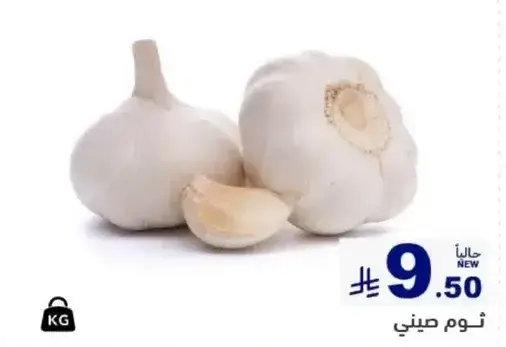 Garlic