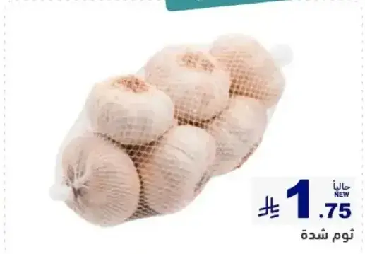 Fresh garlic bulbs