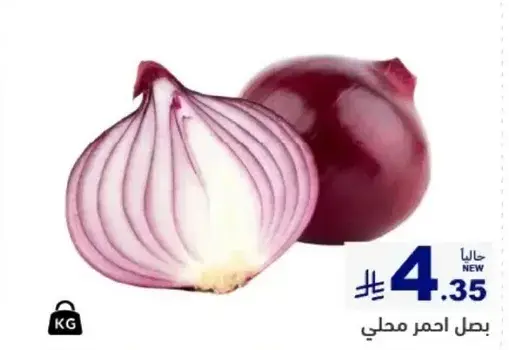 بصل احمر محلي