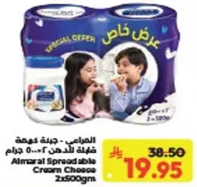 المرعي كريمه جبنه قابله للدهن 2x500 جرام.