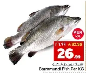 Barramundi Fish Per KG