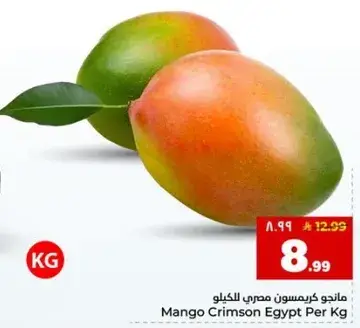 مانجو كريمسون مصري
