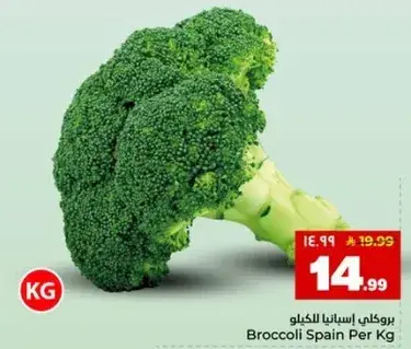 Broccoli Spain Per Kg