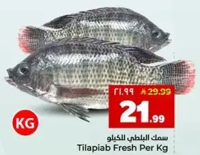 سمك البلطي للكيلو