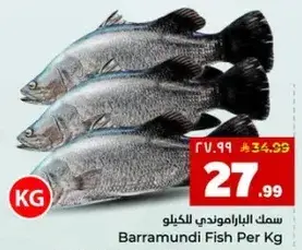 Barramundi Fish Per Kg
