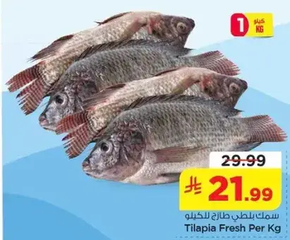 سمك بلطي طازج للكيلو