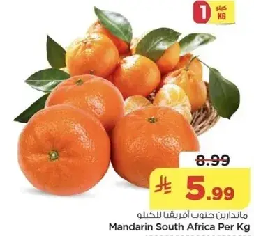 Mandarin South Africa Per Kg