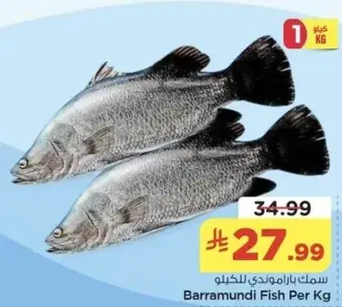 Barramundi Fish Per Kg