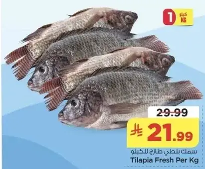 سمك بلطي طازج للكيلو