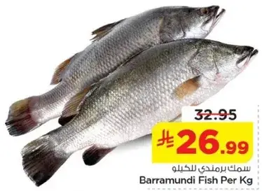 Barramundi Fish Per Kg
