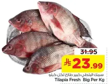 Tilapia Fresh Big Per Kg