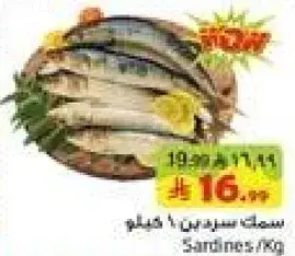Sardines / Kg