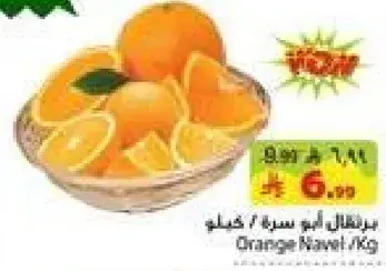 Orange Navel / Kg