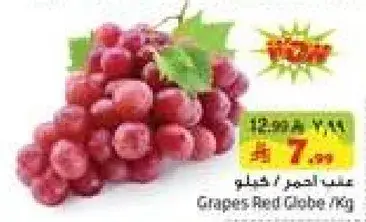 Grapes Red Globe / Kg