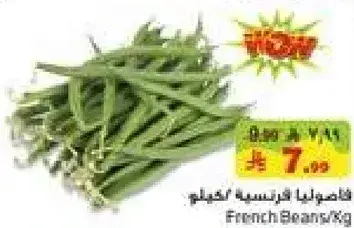 فاصوليا فرنسيه / كيلو