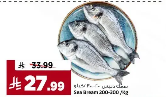Sea Bream 200-300 Kg