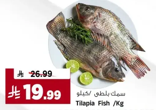 Tilapia Fish / Kg