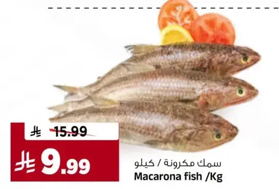 Macarona fish/Kg
