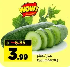 Cucumber /Kg