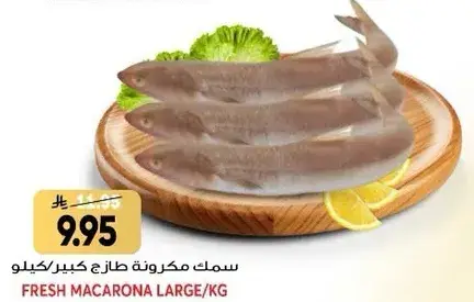 Fresh Macarona Large