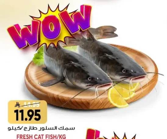 Fresh Cat Fish KG
