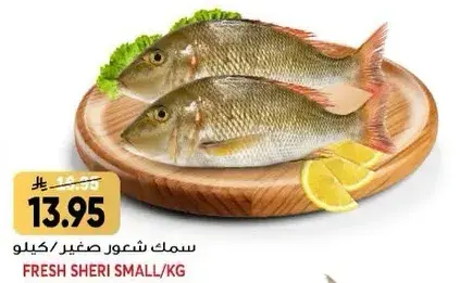 Fresh Sheri Small KG