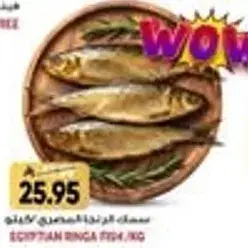 Egyptian Ringa Fish
