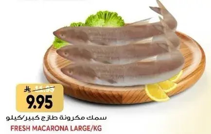 سمك مكرونه كبير 1 كيلو