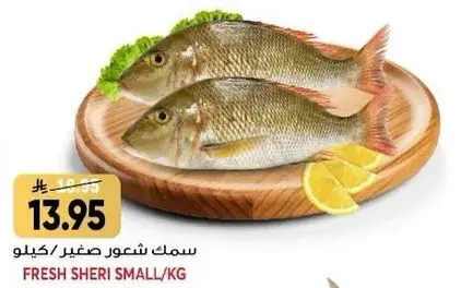 سمك شيري صغير 1 كيلو