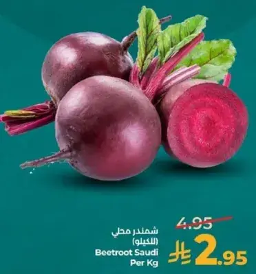 شمندر سعودي (الكيلو)