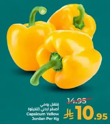 Capsicum Yellow Jordan Per Kg
