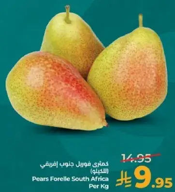 Pears Forelle South Africa Per Kg