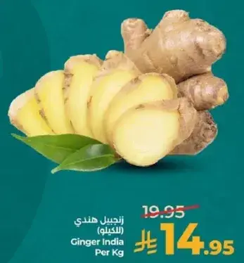 زنجبيل هندي (الكيلو)