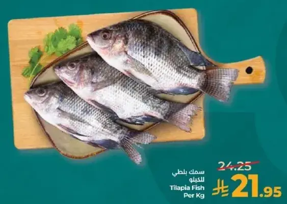 سمك بلطي (بالكيلو)