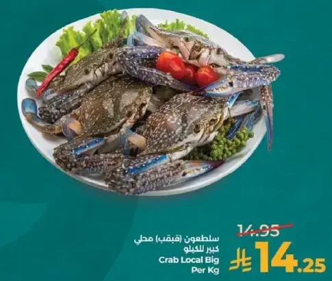 سلطعون (بالكيلو) كبير محلي